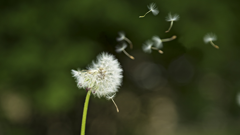 MyApotecaNaturaCommunity