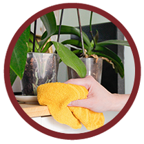 MyApotecaNatura Community