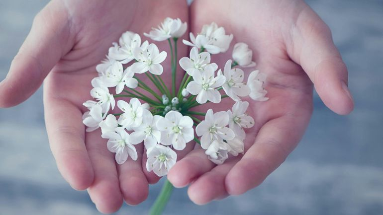 Antibiotico-Resistenza