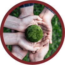 Eliminación de antibióticos