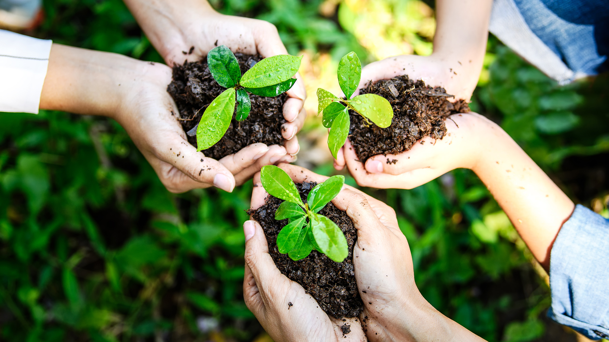 Día Mundial del Medio Ambiente MyApotecaNatura Community